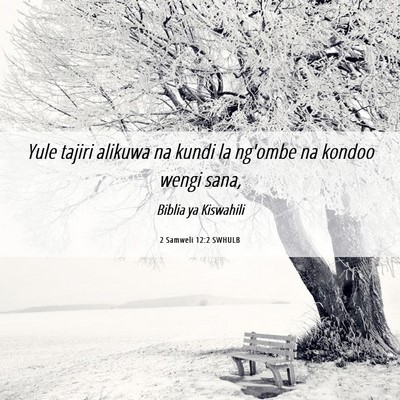 Picture 06 - 2 Samweli 12:2 SWHULB - Yule tajiri alikuwa na kundi la ng'ombe na kondoo - Bible Verse Picture