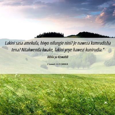 Picture 06 - 2 Samweli 12:23 SWHULB - Lakini sasa amekufa, hivyo nifungie nini? Je - Bible Verse Picture