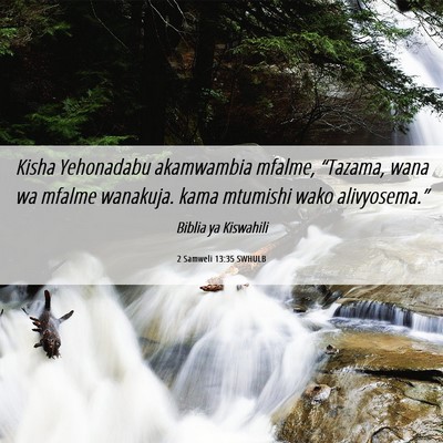 Picture 06 - 2 Samweli 13:35 SWHULB - Kisha Yehonadabu akamwambia mfalme, “Tazama, - Bible Verse Picture