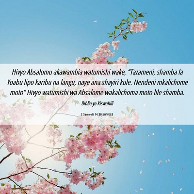 Picture 06 - 2 Samweli 14:30 SWHULB - Hivyo Absalomu akawambia watumishi wake, - Bible Verse Picture