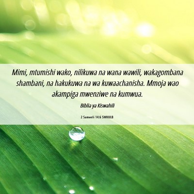 Picture 06 - 2 Samweli 14:6 SWHULB - Mimi, mtumishi wako, nilikuwa na wana wawili, - Bible Verse Picture