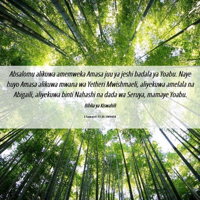 Picture 06 - 2 Samweli 17:25 SWHULB - Absalomu alikuwa amemweka Amasa juu ya jeshi - Bible Verse Picture