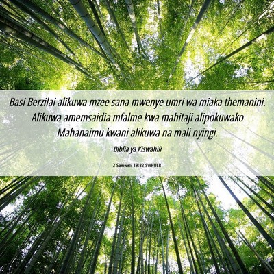 Picture 06 - 2 Samweli 19:32 SWHULB - Basi Berzilai alikuwa mzee sana mwenye umri wa - Bible Verse Picture