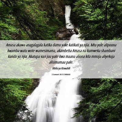 Picture 06 - 2 Samweli 20:12 SWHULB - Amasa akawa anagalagala katika damu yake katikati - Bible Verse Picture