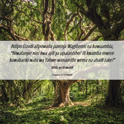 Picture 06 - 2 Samweli 21:3 SWHULB - Ndipo Daudi alipowaita pamoja Wagibeoni na - Bible Verse Picture
