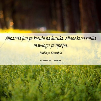 Picture 06 - 2 Samweli 22:11 SWHULB - Alipanda juu ya kerubi na kuruka. Alionekana - Bible Verse Picture
