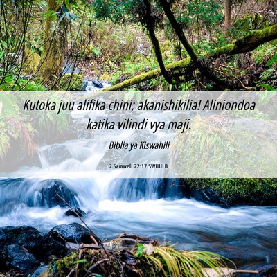 Picture 06 - 2 Samweli 22:17 SWHULB - Kutoka juu alifika chini; akanishikilia! - Bible Verse Picture