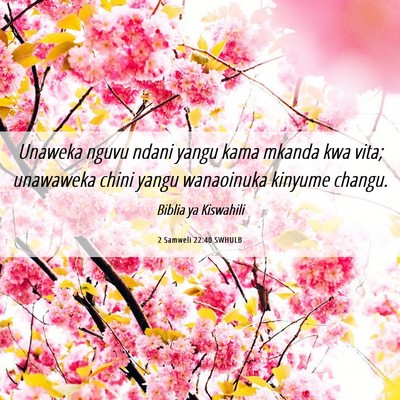 Picture 06 - 2 Samweli 22:40 SWHULB - Unaweka nguvu ndani yangu kama mkanda kwa vita; - Bible Verse Picture