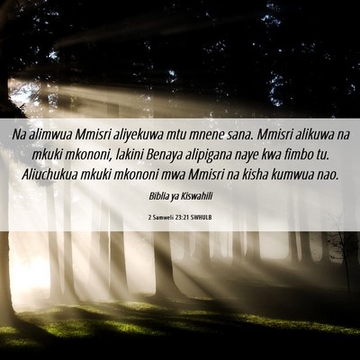 Picture 06 - 2 Samweli 23:21 SWHULB - Na alimwua Mmisri aliyekuwa mtu mnene sana. - Bible Verse Picture