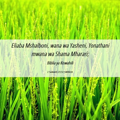 Picture 06 - 2 Samweli 23:32 SWHULB - Eliaba Mshalboni, wana wa Yasheni, Yonathani - Bible Verse Picture