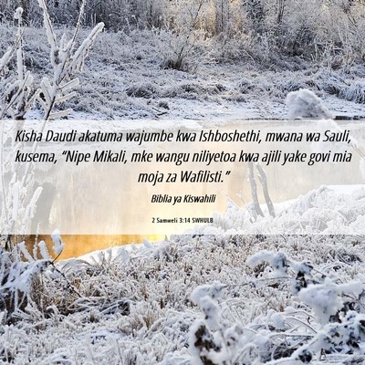Picture 06 - 2 Samweli 3:14 SWHULB - Kisha Daudi akatuma wajumbe kwa Ishboshethi, - Bible Verse Picture