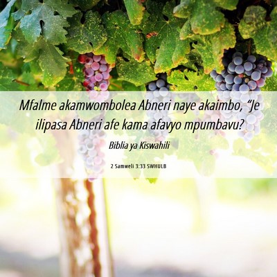 Picture 06 - 2 Samweli 3:33 SWHULB - Mfalme akamwombolea Abneri naye akaimbo, “Je - Bible Verse Picture