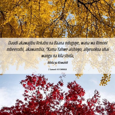 Picture 06 - 2 Samweli 4:9 SWHULB - Daudi akawajibu Rekabu na Baana nduguye, wana wa - Bible Verse Picture