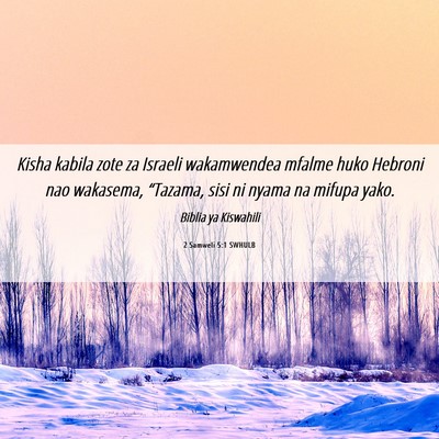 Picture 06 - 2 Samweli 5:1 SWHULB - Kisha kabila zote za Israeli wakamwendea mfalme - Bible Verse Picture