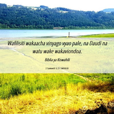Picture 06 - 2 Samweli 5:21 SWHULB - Wafilisiti wakaacha vinyago vyao pale, na Daudi - Bible Verse Picture