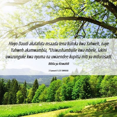 Picture 06 - 2 Samweli 5:23 SWHULB - Hivyo Daudi akatafuta msaada tena kutoka kwa - Bible Verse Picture