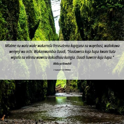 Picture 06 - 2 Samweli 5:6 SWHULB - Mfalme na watu wake wakaenda Yerusalemu kupigana - Bible Verse Picture