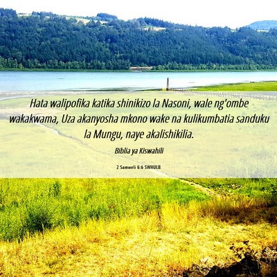 Picture 06 - 2 Samweli 6:6 SWHULB - Hata walipofika katika shinikizo la Nasoni, wale - Bible Verse Picture