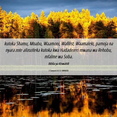 Picture 06 - 2 Samweli 8:12 SWHULB - kutoka Shamu, Moabu, Waamoni, Wafilist, - Bible Verse Picture