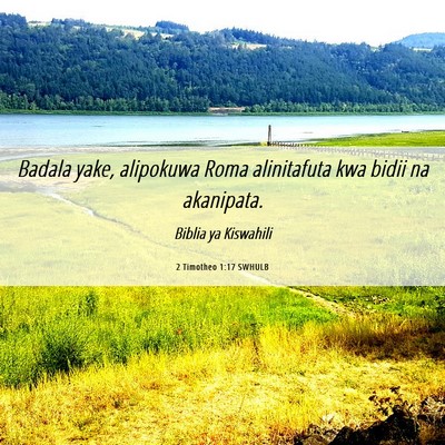 Picture 06 - 2 Timotheo 1:17 SWHULB - Badala yake, alipokuwa Roma alinitafuta kwa bidii - Bible Verse Picture