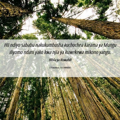 Picture 06 - 2 Timotheo 1:6 SWHULB - Hii ndiyo sababu nakukumbusha kuchochea karama ya - Bible Verse Picture