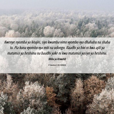 Picture 06 - 2 Timotheo 2:20 SWHULB - Kwenye nyumba ya kitajiri, siyo kwamba vimo - Bible Verse Picture