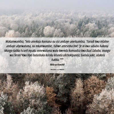 Picture 06 - 2 Wafalme 1:6 SWHULB - Wakamwambia, “mtu amekuja kuonana na sisi - Bible Verse Picture