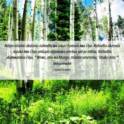 Picture 06 - 2 Wafalme 1:9 SWHULB - Ndipo mfalme akatuma nahodha wa askari hamsini - Bible Verse Picture