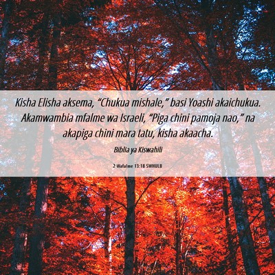 Picture 06 - 2 Wafalme 13:18 SWHULB - Kisha Elisha aksema, “Chukua mishale,” basi - Bible Verse Picture