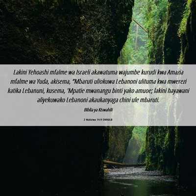 Picture 06 - 2 Wafalme 14:9 SWHULB - Lakini Yehoashi mfalme wa Israeli akawatuma - Bible Verse Picture