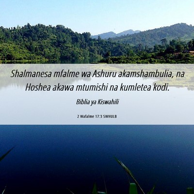 Picture 06 - 2 Wafalme 17:3 SWHULB - Shalmanesa mfalme wa Ashuru akamshambulia, na - Bible Verse Picture