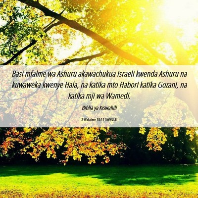 Picture 06 - 2 Wafalme 18:11 SWHULB - Basi mfalme wa Ashuru akawachukua Israeli kwenda - Bible Verse Picture