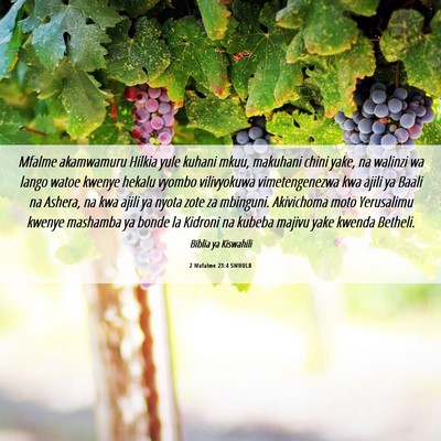 Picture 06 - 2 Wafalme 23:4 SWHULB - Mfalme akamwamuru Hilkia yule kuhani mkuu, - Bible Verse Picture