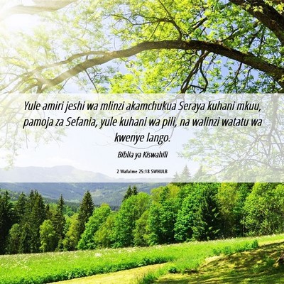 Picture 06 - 2 Wafalme 25:18 SWHULB - Yule amiri jeshi wa mlinzi akamchukua Seraya - Bible Verse Picture