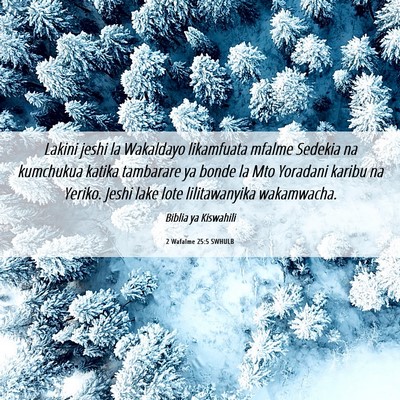 Picture 06 - 2 Wafalme 25:5 SWHULB - Lakini jeshi la Wakaldayo likamfuata mfalme - Bible Verse Picture