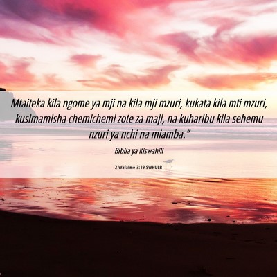 Picture 06 - 2 Wafalme 3:19 SWHULB - Mtaiteka kila ngome ya mji na kila mji mzuri, - Bible Verse Picture