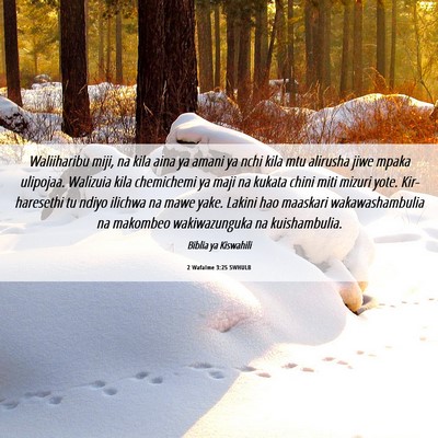 Picture 06 - 2 Wafalme 3:25 SWHULB - Waliiharibu miji, na kila aina ya amani ya nchi - Bible Verse Picture