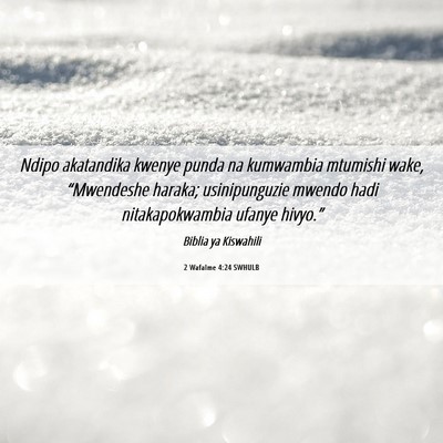 Picture 06 - 2 Wafalme 4:24 SWHULB - Ndipo akatandika kwenye punda na kumwambia - Bible Verse Picture