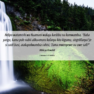 Picture 06 - 2 Wafalme 5:13 SWHULB - Ndipo watumishi wa Naamani wakaja karibbu na - Bible Verse Picture