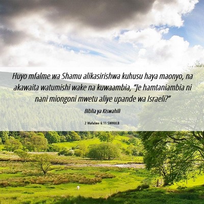 Picture 06 - 2 Wafalme 6:11 SWHULB - Huyo mfalme wa Shamu alikasirishwa kuhusu haya - Bible Verse Picture