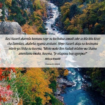 Picture 06 - 2 Wafalme 8:9 SWHULB - Basi Hazaeli akaenda kuonana naye na kuchukua - Bible Verse Picture