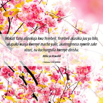 Picture 06 - 2 Wafalme 9:30 SWHULB - Wakati Yahu alipokuja kwa Yezebeli, Yezebeli - Bible Verse Picture