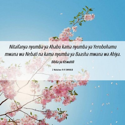Picture 06 - 2 Wafalme 9:9 SWHULB - Nitaifanya nyumba ya Ahabu kama nyumba ya - Bible Verse Picture