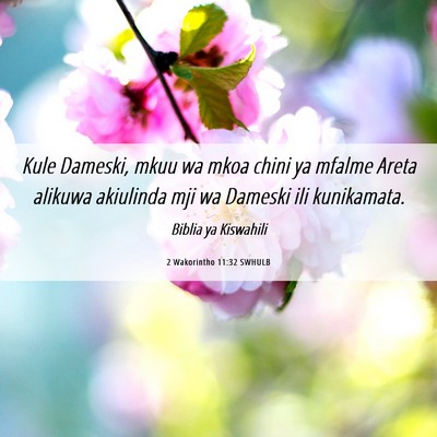 Picture 06 - 2 Wakorintho 11:32 SWHULB - Kule Dameski, mkuu wa mkoa chini ya mfalme Areta - Bible Verse Picture