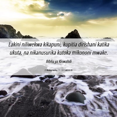 Picture 06 - 2 Wakorintho 11:33 SWHULB - Lakini niliwekwa kikapuni, kupitia dirishani - Bible Verse Picture