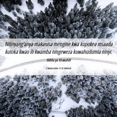 Picture 06 - 2 Wakorintho 11:8 SWHULB - Nilinyang'anya makanisa mengine kwa kupokea - Bible Verse Picture