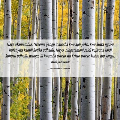 Picture 06 - 2 Wakorintho 12:9 SWHULB - Naye akaniambia, “Neema yangu inatosha kwa - Bible Verse Picture