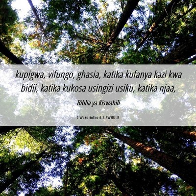 Picture 06 - 2 Wakorintho 6:5 SWHULB - kupigwa, vifungo, ghasia, katika kufanya kazi kwa - Bible Verse Picture