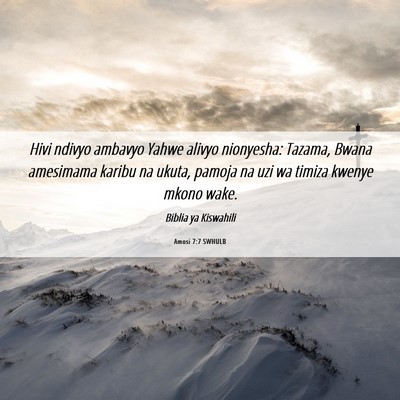 Picture 06 - Amosi 7:7 SWHULB - Hivi ndivyo ambavyo Yahwe alivyo nionyesha: - Bible Verse Picture