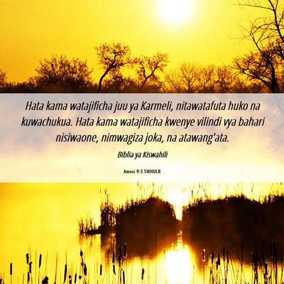 Picture 06 - Amosi 9:3 SWHULB - Hata kama watajificha juu ya Karmeli, - Bible Verse Picture